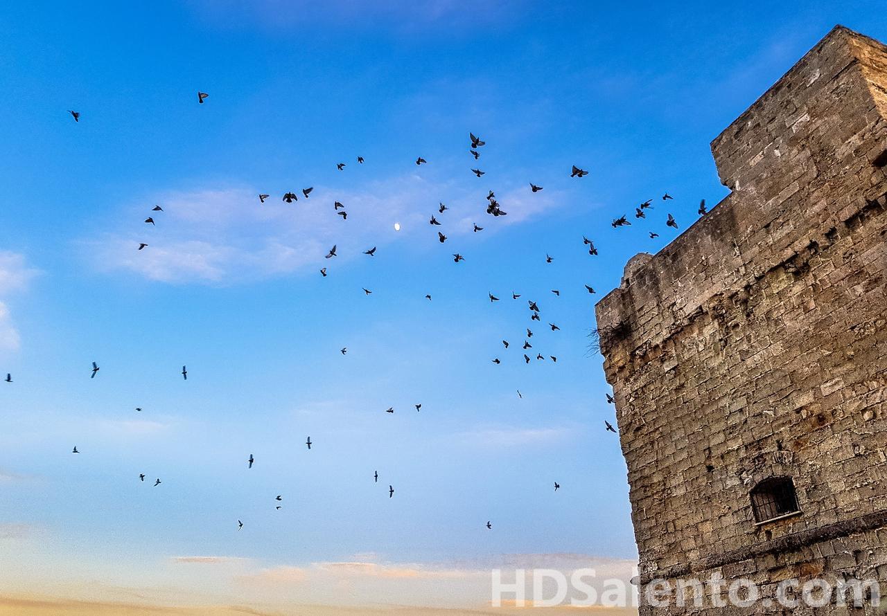 Apartmán Da Mescia Cesarina Tricase Exteriér fotografie